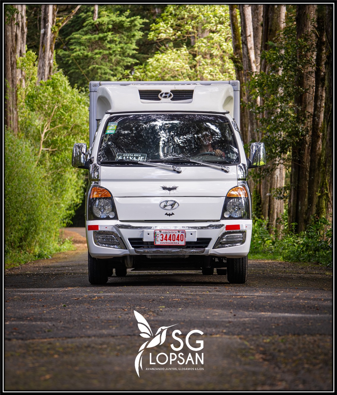 SG LOPSAN SRL - Galería 20